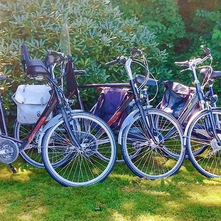 Vakantiehuis Hollum Ameland Dichtbij Strand En Met Ruime Tuin - Ameland39 Nl Zewnętrze zdjęcie