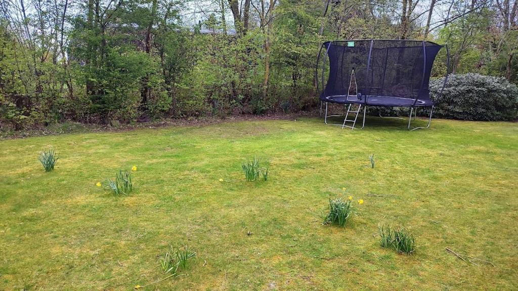 Vakantiehuis Hollum Ameland Dichtbij Strand En Met Ruime Tuin - Ameland39 Nl Zewnętrze zdjęcie